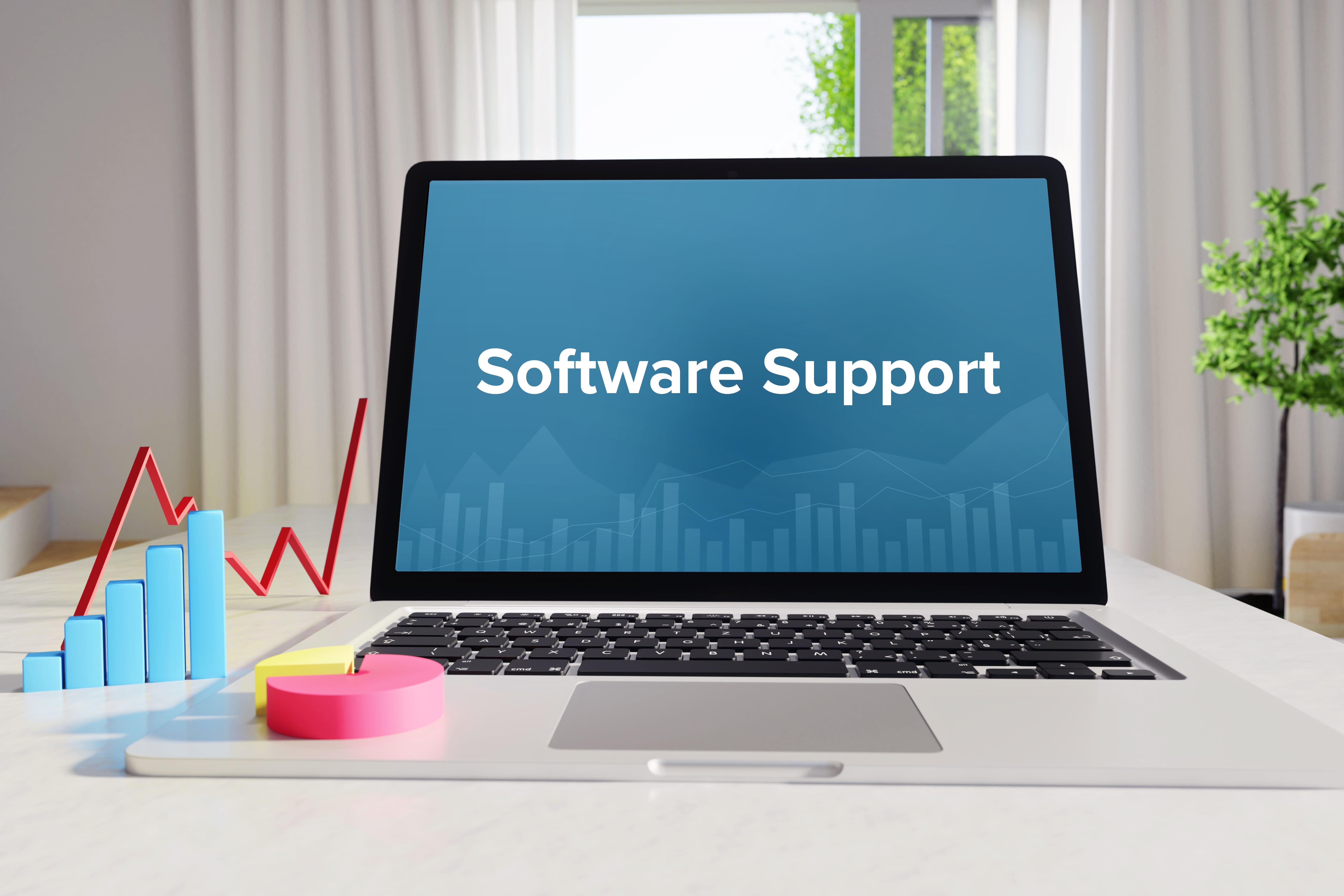 Accounting Software Set-up
